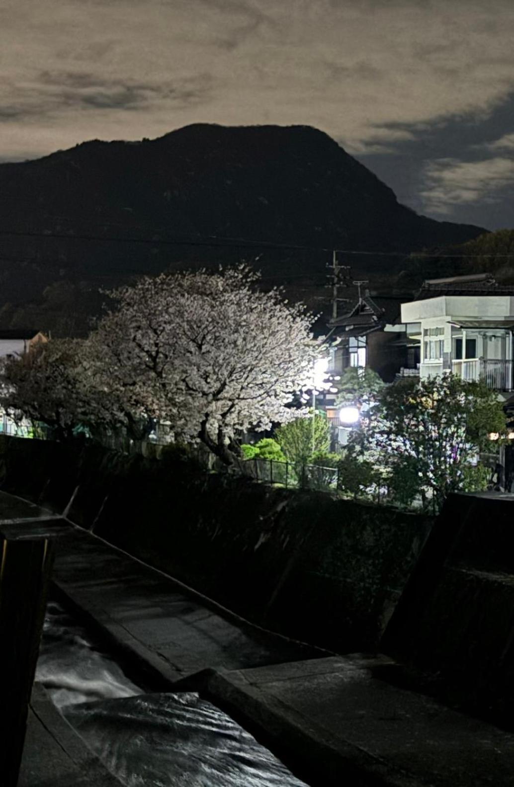 Guesthouse Sakichi Beppu Bagian luar foto