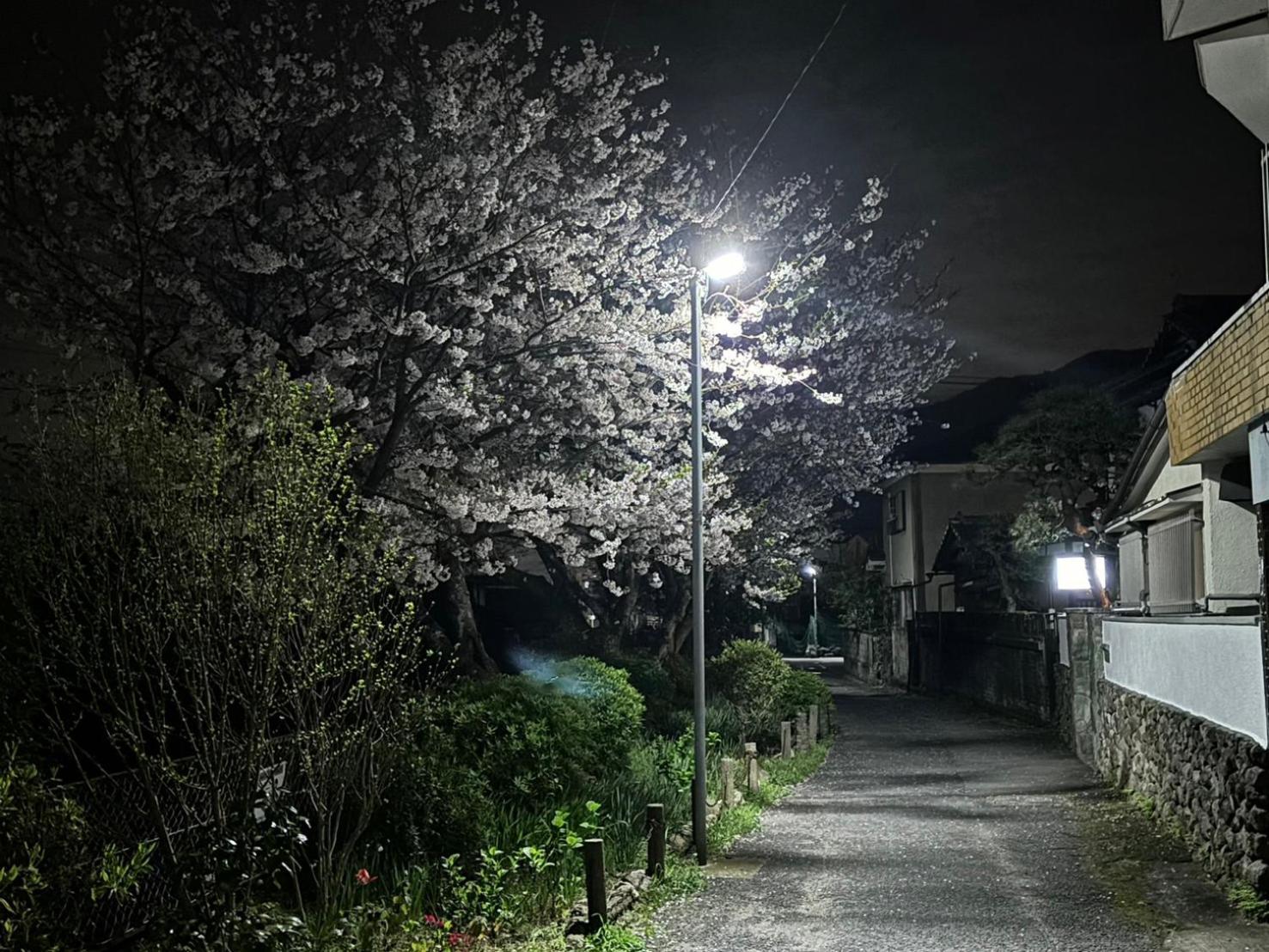 Guesthouse Sakichi Beppu Bagian luar foto